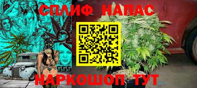 гидра Мариинск