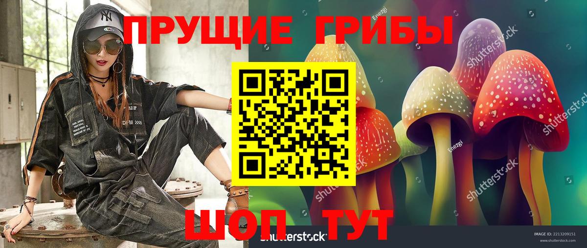 Галлюциногенные грибы MAGIC MUSHROOMS  Вход с VPN  Елец 